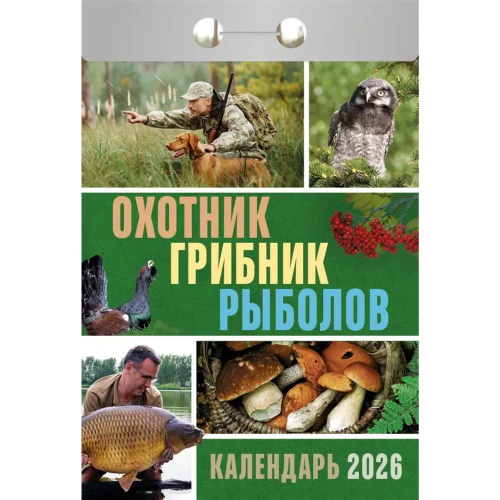 11730054