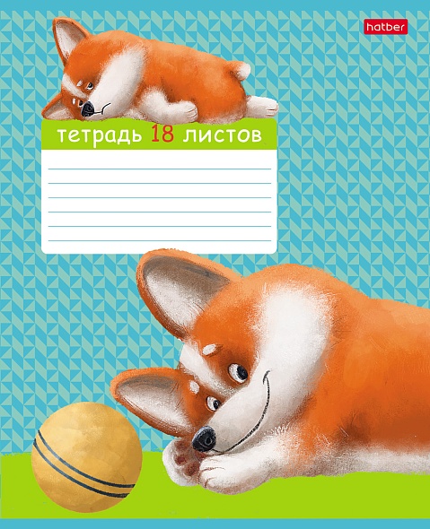 11705595