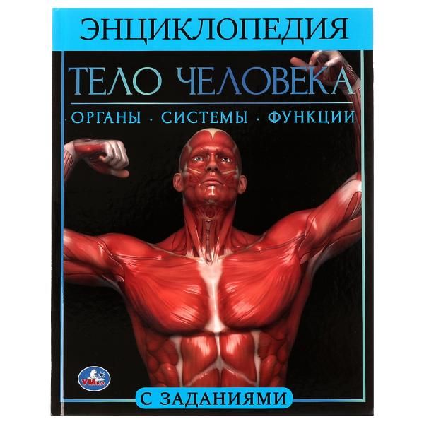 11569828