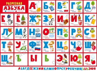 11560465