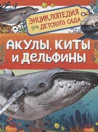 11607740