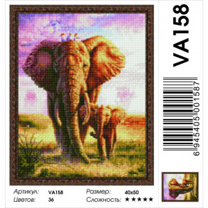 11559036