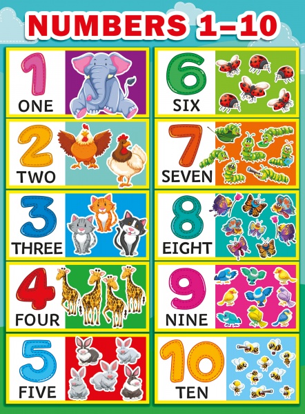 11527567