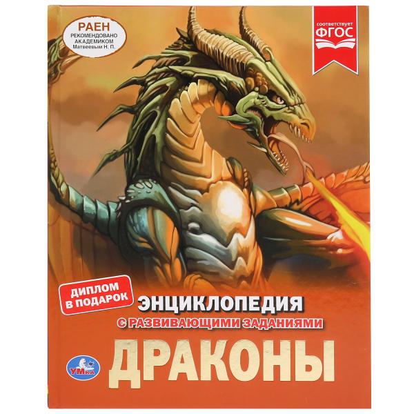11564302