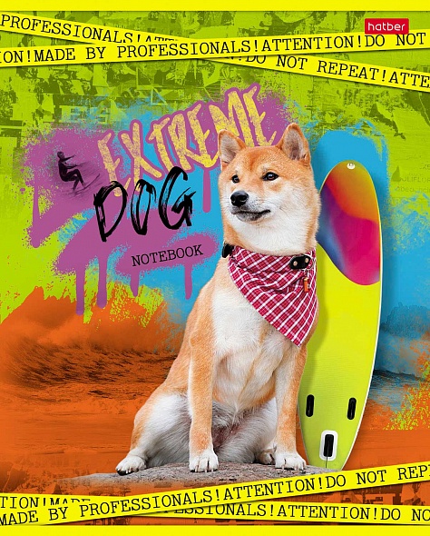 11593016