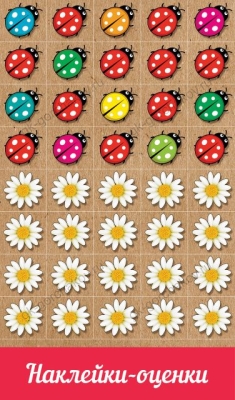 11564367