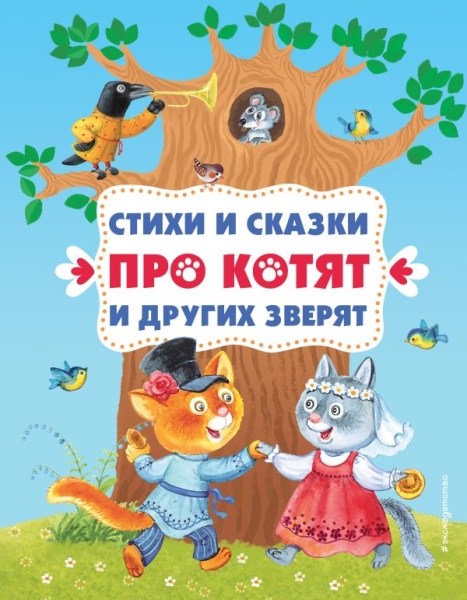 11607508