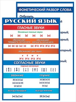 11713018
