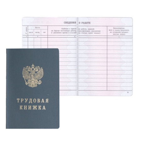 Бланк документа Трудовая книжка в твердой обложке, 88*125мм 121229 - купить в интернет-магазине «Буратино»