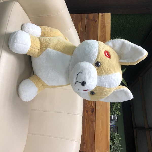 11709180