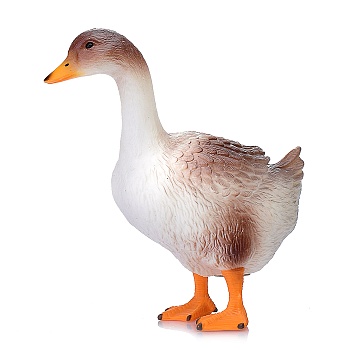 11604651