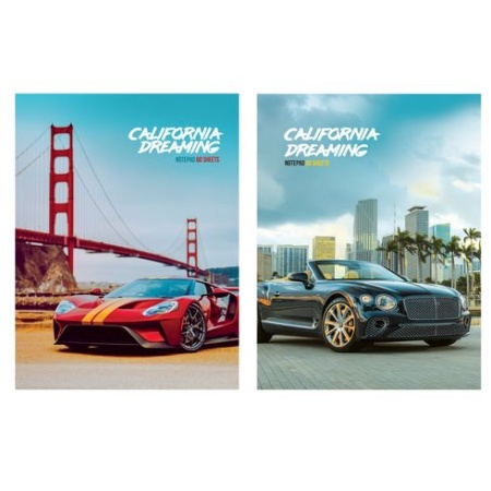 ББ5и64_лм 8985 Бизнес-блокнот А5 переплёт интегральный 64л. "California dreaming" (ассорти) ББ5и64_л - купить в интернет-магазине «Буратино»