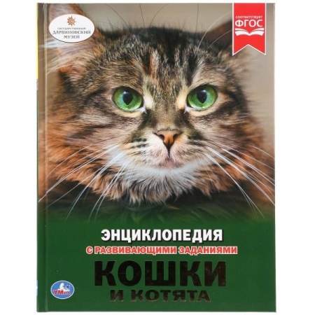 Кошки и котята. (Энциклопедия А4 с развивающими заданиями). 197х255 мм. 48 стр. Умка в кор.15шт - купить в интернет-магазине «Буратино»