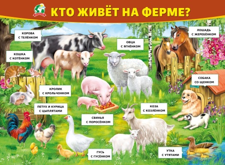 Плакат "Кто живет на ферме " 070.965 - купить в интернет-магазине «Буратино»