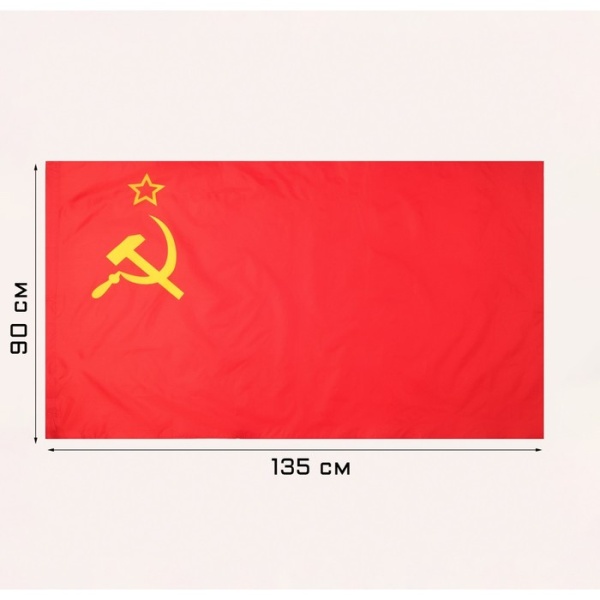 11594054