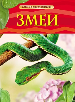 11209006