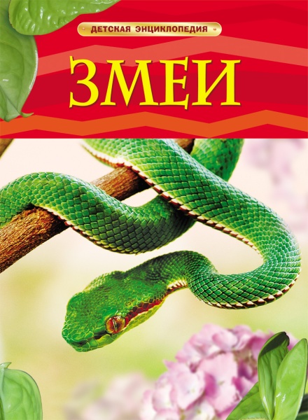 11209006