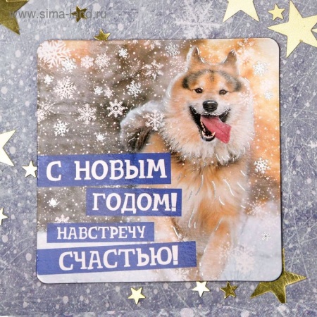 Магнит "Навстречу счастью!", 8 х 8 см 1894022 1894022 - купить в интернет-магазине «Буратино»
