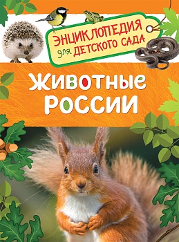 11357303