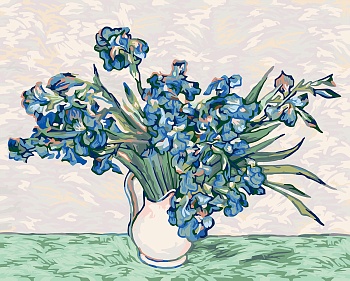 11572725
