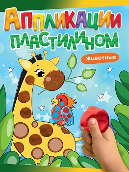 11605887