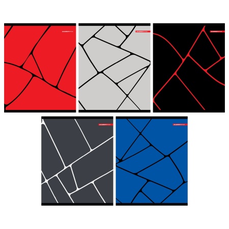 Тетр 96л скр А5 кл 14164/5-EAC софт-тач лам Линии 14164/5 - купить в интернет-магазине «Буратино»