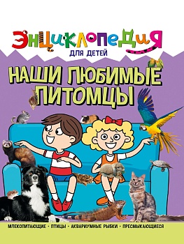 11591675