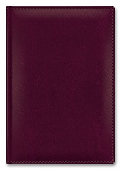 11569036