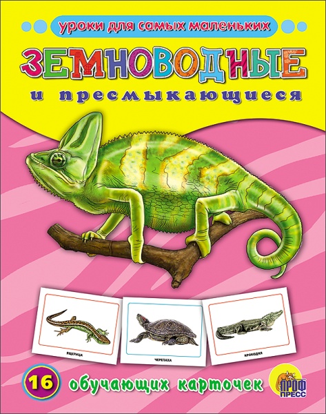 11143623