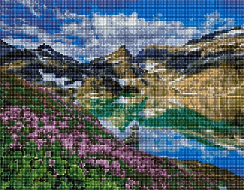 11589877