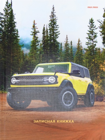 ЗАПИСНАЯ КНИЖКА А5 80л. МАШИНА В ЛЕСУ (80-5492) 7БЦ, глянц.ламинир., лен, без линовки 467-0-159-0549 - купить в интернет-магазине «Буратино»