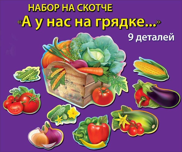 11513531