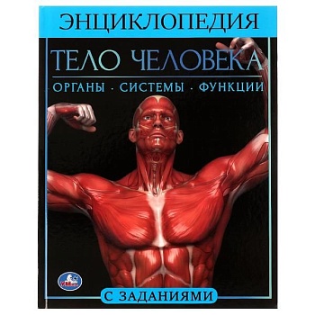 11569828