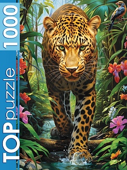 11730063