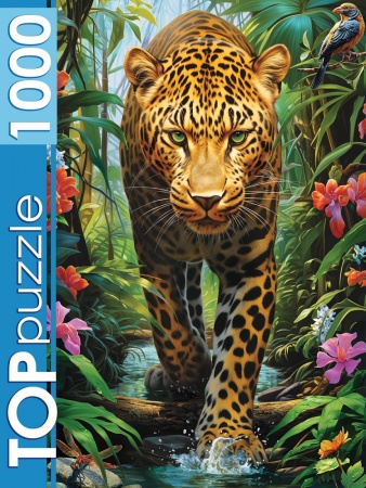 TOPpuzzle. ПАЗЛЫ 1000 элементов. Ф1000-7731  Таинственный леопард Ф1000-7731 - купить в интернет-магазине «Буратино»