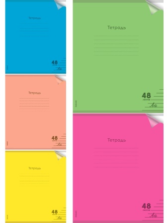 Тетрадь ЛИНИЯ 48л. цвет.пласт.обл. plastic cover НЕОН (48-1377) ассорти 5 цветов - купить в интернет-магазине «Буратино»