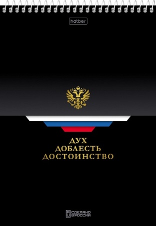 Блокнот 60л А5ф клетка на спирали серия -Россия- 092968 - купить в интернет-магазине «Буратино»
