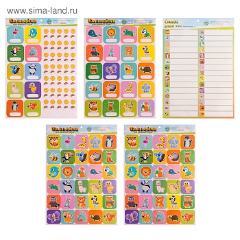 11484857