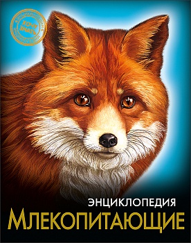 11186158
