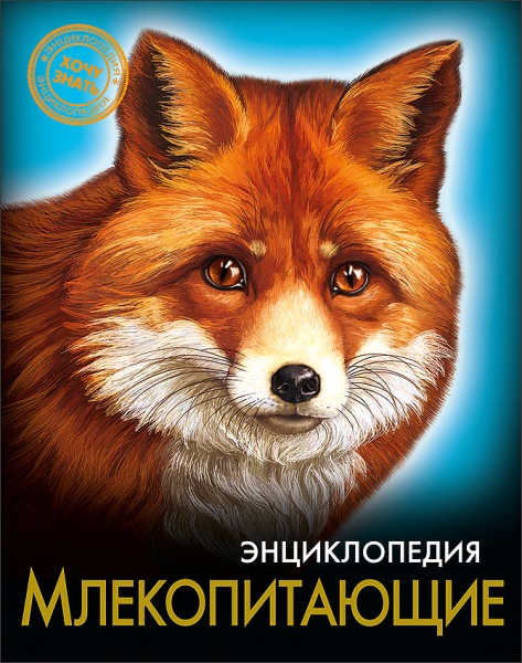 11186158