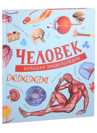 Человек. Большая энциклопедия 30622 - купить в интернет-магазине «Буратино»