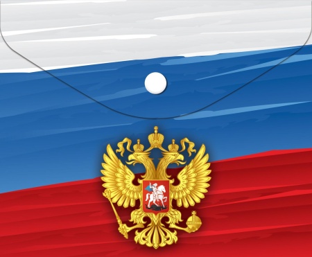 Папка-конверт на кнопке "deVENTE. Герб " A6 (170x140 мм) 150 мкм, непрозрачная с рисунком 3079178 - купить в интернет-магазине «Буратино»