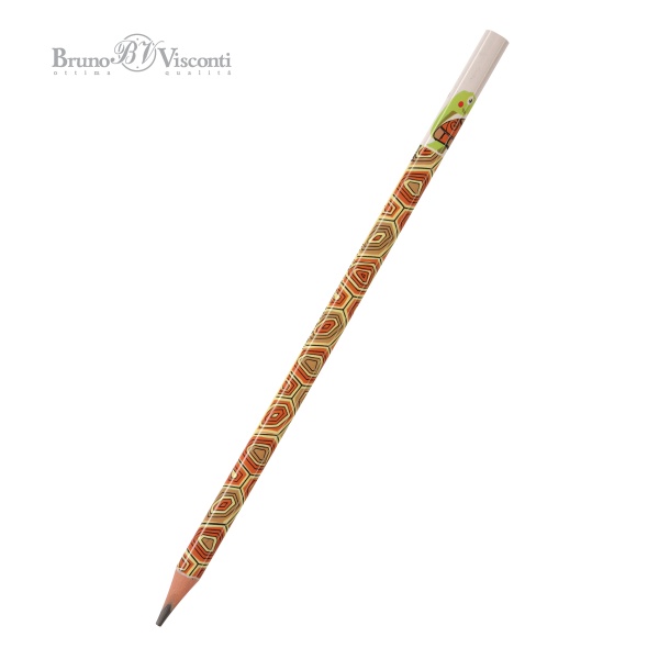 11602529