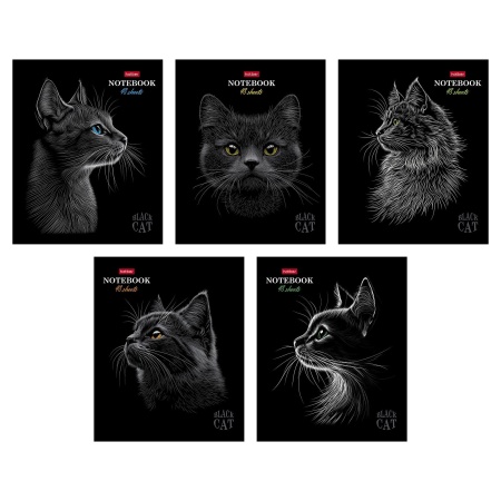 Тетрадь 48л А5ф клетка на скобе -Black Cat- 093159 - купить в интернет-магазине «Буратино»