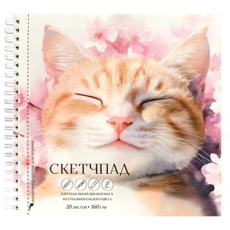 Альбом для рисования (Скетчпад) 20 л, СПЯЩИЙ КОТ (195х195 мм), 160г/м - купить в интернет-магазине «Буратино»