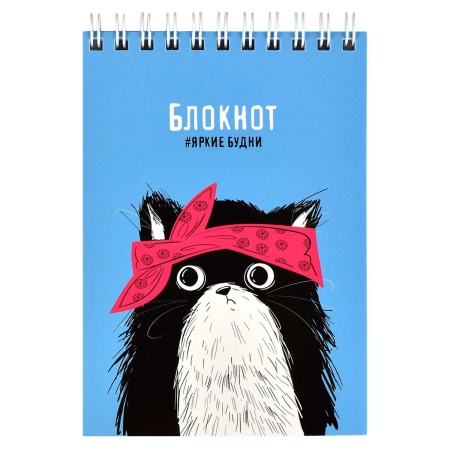 Блокнот, А6, 80 л, арт. 62784 ХИП-ХОП КОТ / Блок - белый офсет 65 г/м?, клетка, гребень по короткой - купить в интернет-магазине «Буратино»