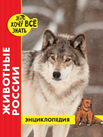 ЭНЦИКЛОПЕДИЯ. ХОЧУ ВСЁ ЗНАТЬ. красная. ЖИВОТНЫЕ РОССИИ 978-5-378-29229-5 - купить в интернет-магазине «Буратино»