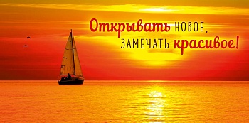 11589449