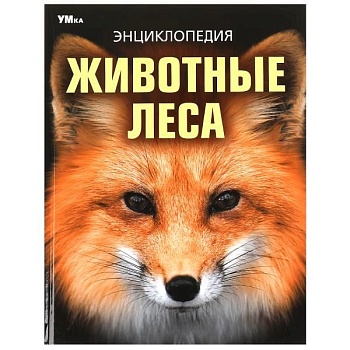 11717451