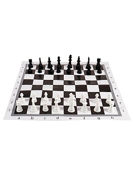 11706725